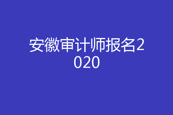 安徽审计师报名2020