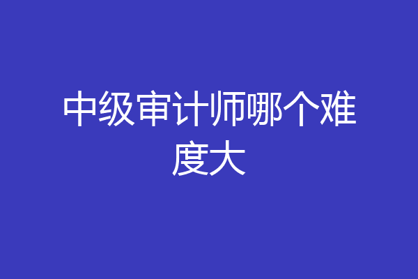 中级审计师哪个难度大