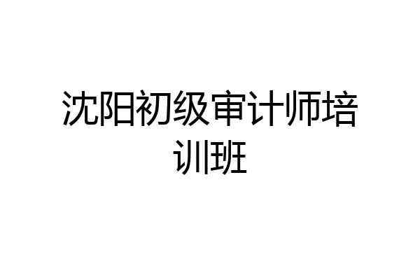 沈阳初级审计师培训班