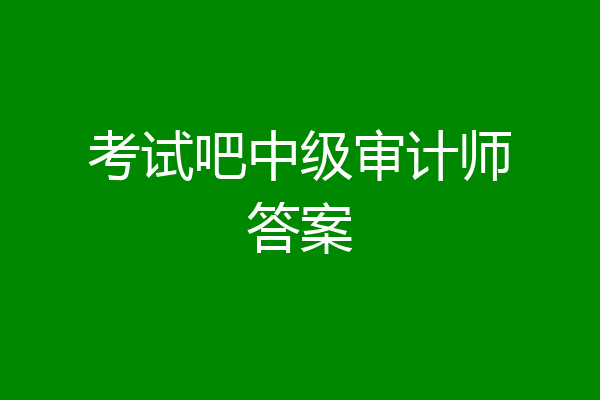 考试吧中级审计师答案