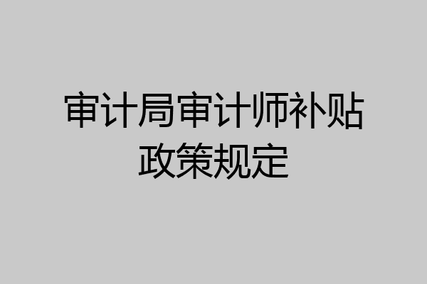 审计局审计师补贴政策规定
