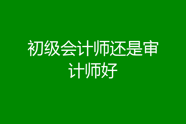 初级会计师还是审计师好