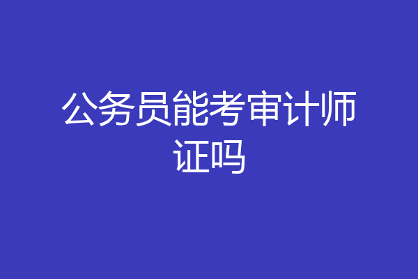 公务员能考审计师证吗