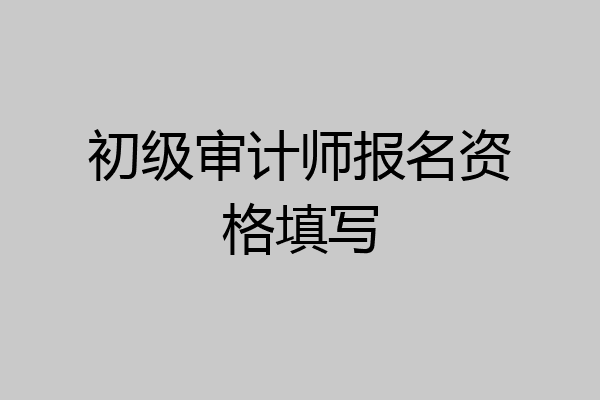 初级审计师报名资格填写