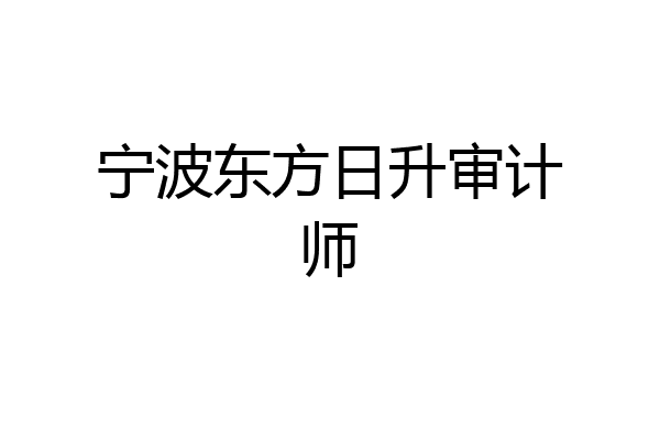 宁波东方日升审计师