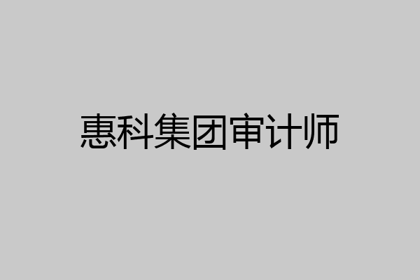 惠科集团审计师