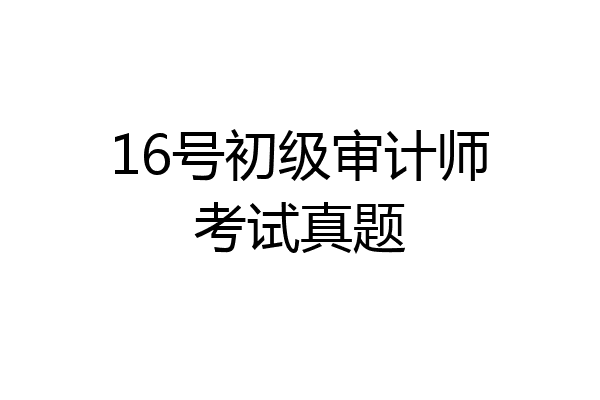 16号初级审计师考试真题