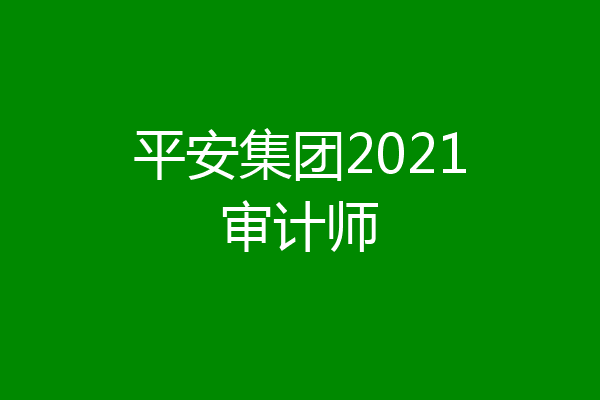 平安集团2021审计师