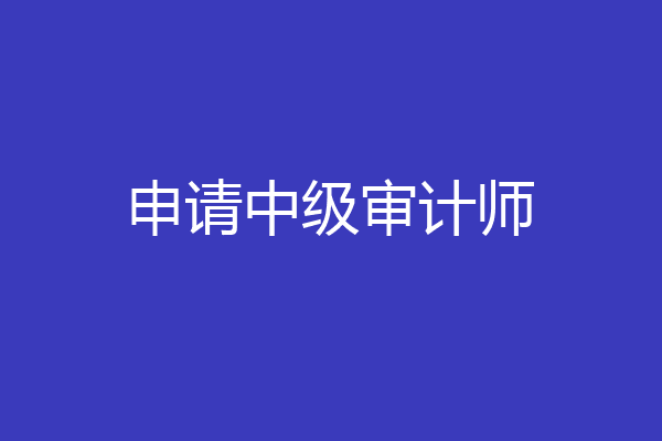 申请中级审计师