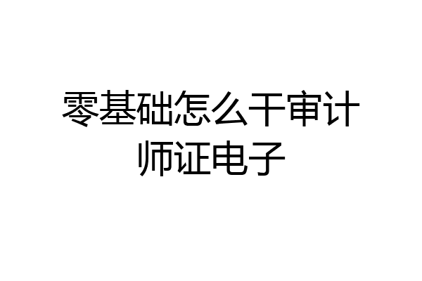 零基础怎么干审计师证电子