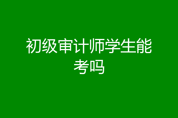 初级审计师学生能考吗