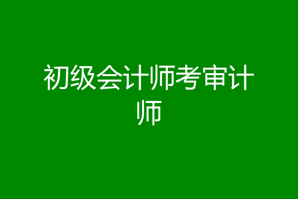 初级会计师考审计师
