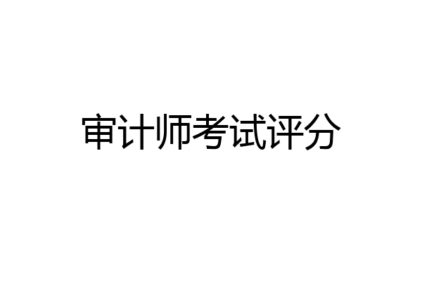 审计师考试评分