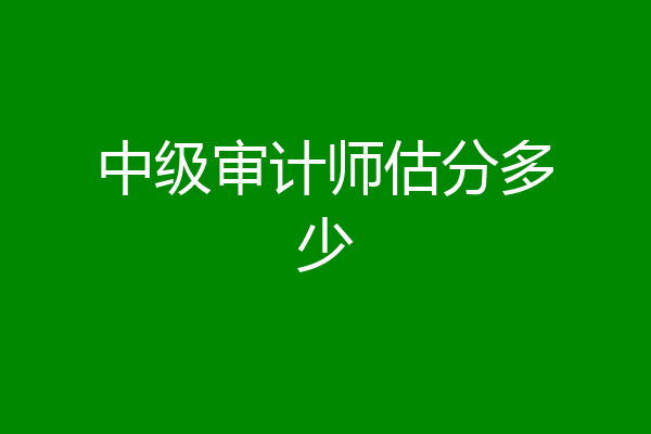 中级审计师估分多少