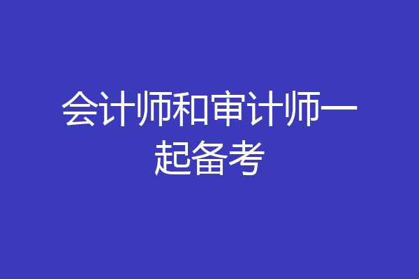 会计师和审计师一起备考