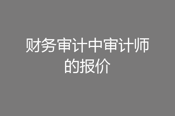 财务审计中审计师的报价