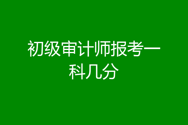 初级审计师报考一科几分