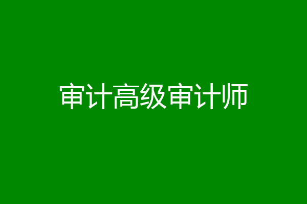 审计高级审计师