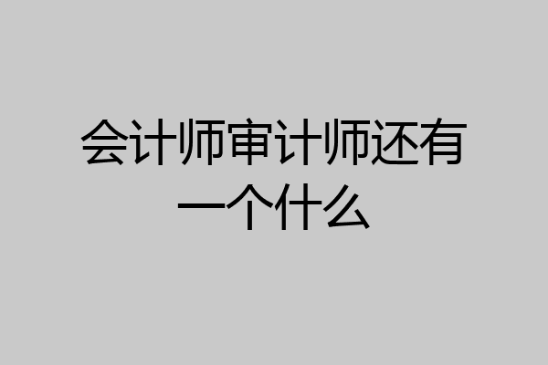 会计师审计师还有一个什么