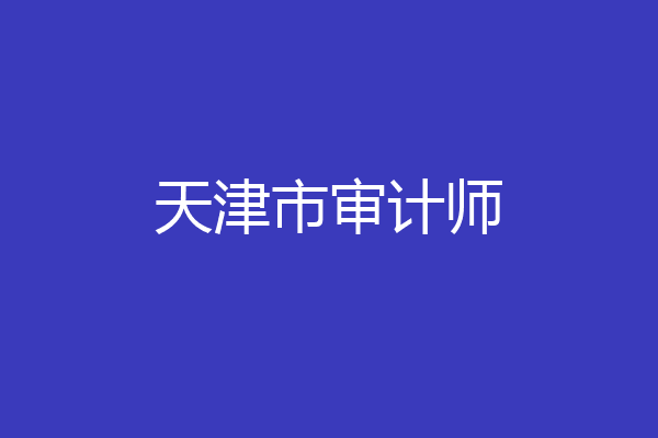 天津市审计师
