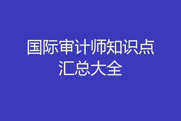 国际审计师知识点汇总大全