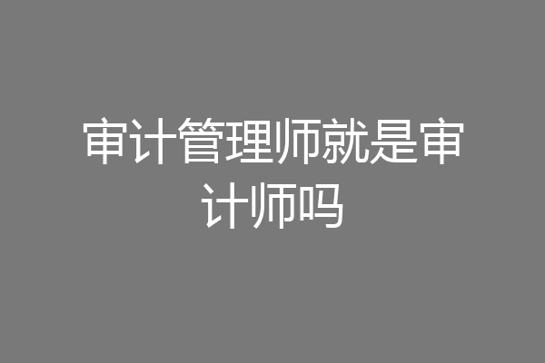 审计管理师就是审计师吗