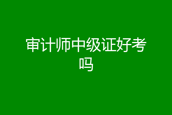审计师中级证好考吗