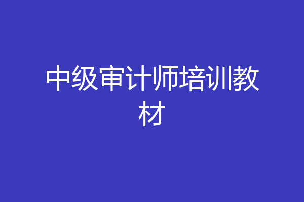 中级审计师培训教材