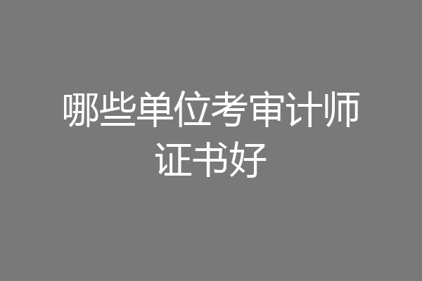 哪些单位考审计师证书好
