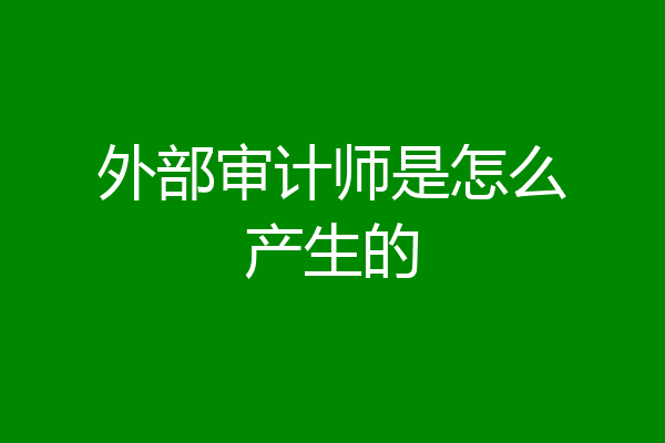外部审计师是怎么产生的