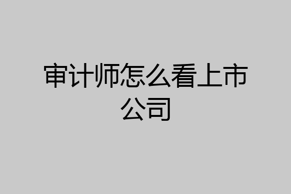 审计师怎么看上市公司