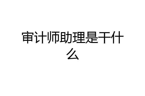 审计师助理是干什么