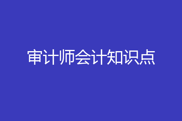 审计师会计知识点