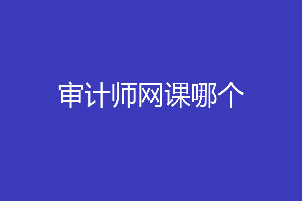 审计师网课哪个