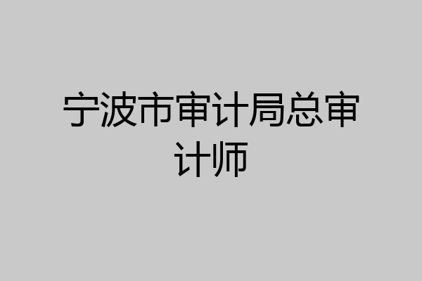 宁波市审计局总审计师