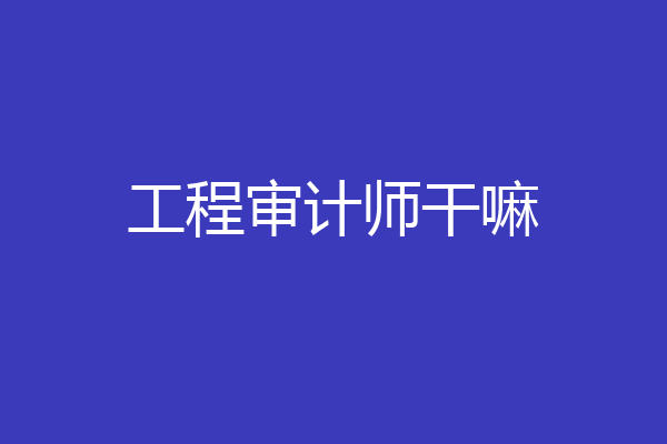 工程审计师干嘛