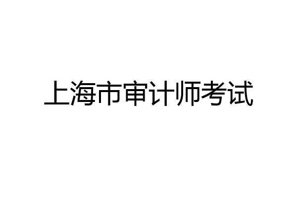 上海市审计师考试