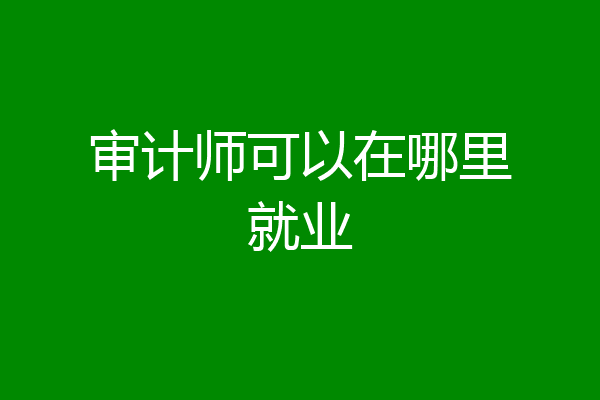审计师可以在哪里就业