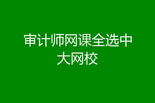 审计师网课全选中大网校