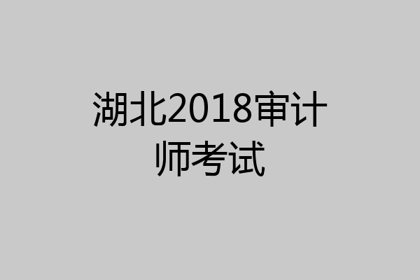 湖北2018审计师考试