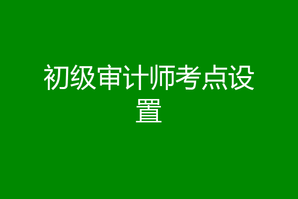 初级审计师考点设置