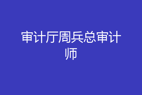 审计厅周兵总审计师