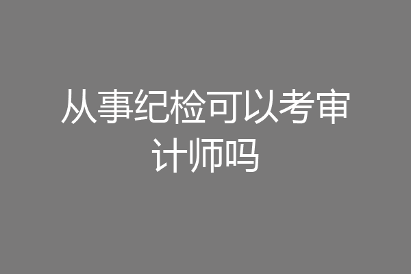 从事纪检可以考审计师吗