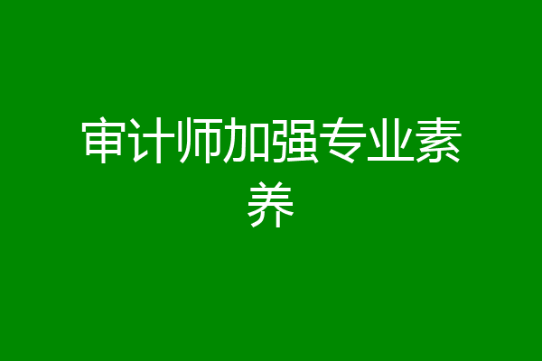 审计师加强专业素养