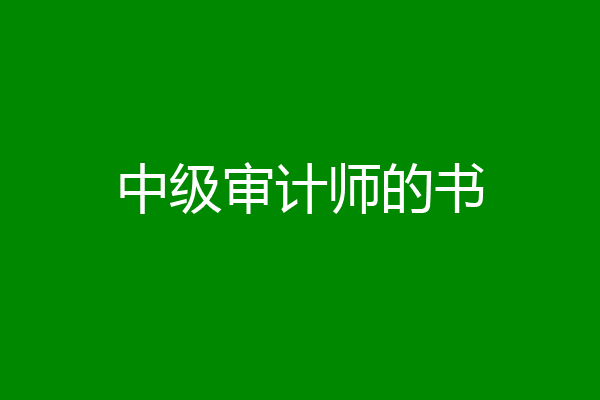中级审计师的书