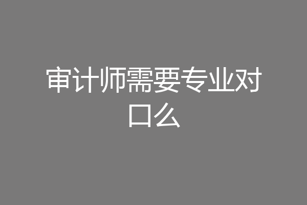 审计师需要专业对口么