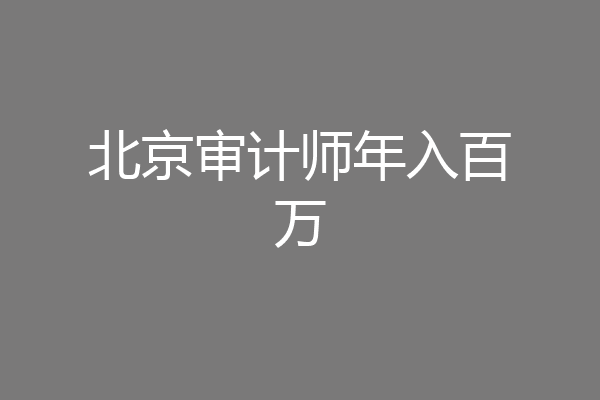 北京审计师年入百万