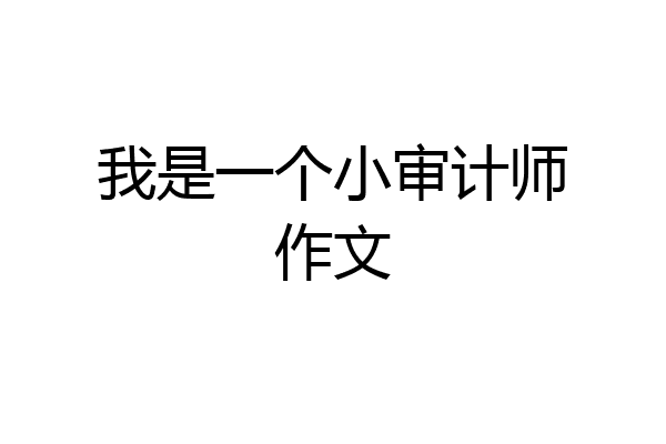 我是一个小审计师作文