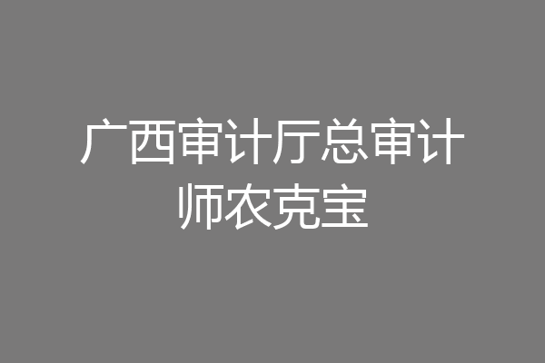 广西审计厅总审计师农克宝