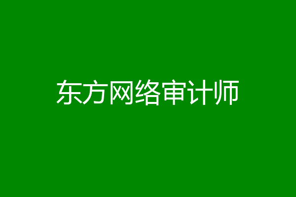 东方网络审计师